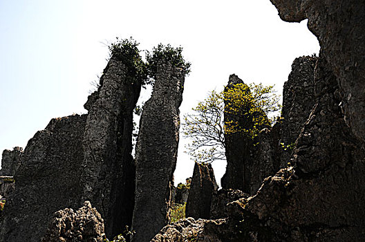 华蓥山国家地质公园