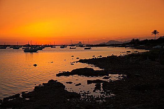 福门特拉岛,日落,船,伊比萨岛,背景