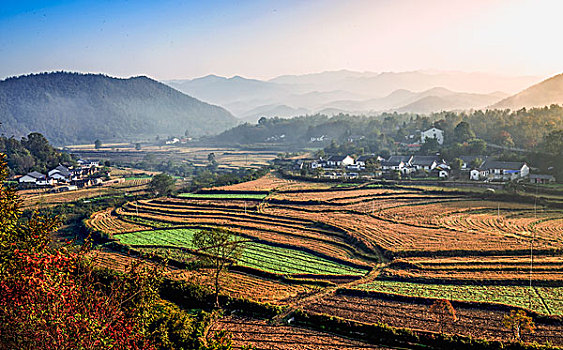 梯田,村庄,田园,风光