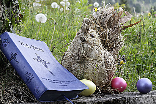圣经,复活节彩蛋,鸡,稻草,法国
