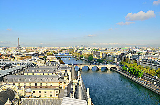法国,法兰西岛,巴黎,俯视,河,赛纳河,世界遗产,桥