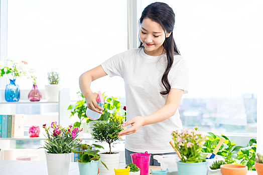 年轻女子在家种植盆栽