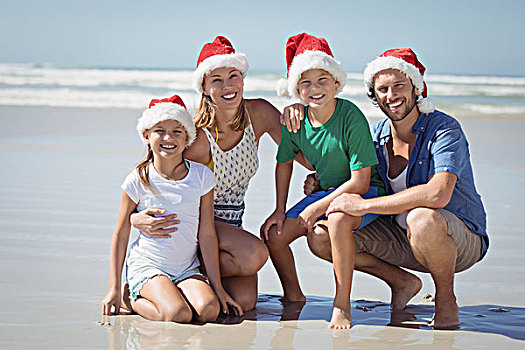 头像,微笑,家庭,穿,圣诞帽,海滩,晴天