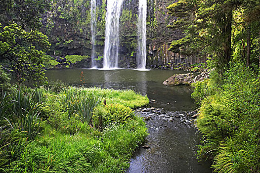 瀑布,北国,新西兰