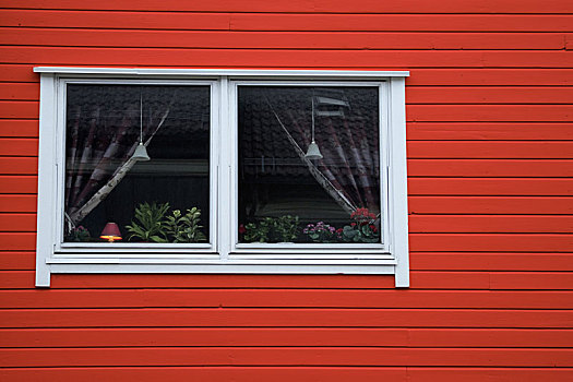 红色,木墙,白色,窗户,帘,花,乡村