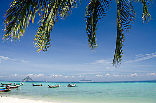 泰国,安达曼海,普吉岛,岛屿,皮皮岛,传统,海岸