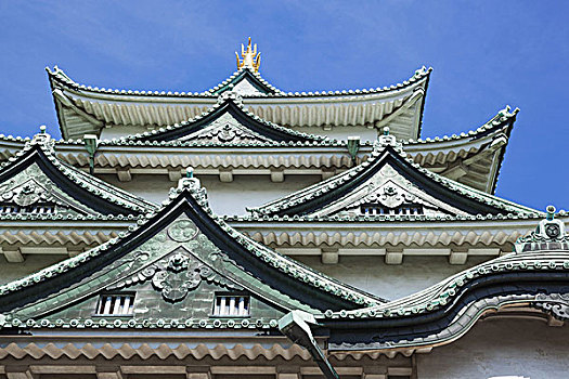 日本,本州,爱知,名古屋,城堡,屋顶,特写