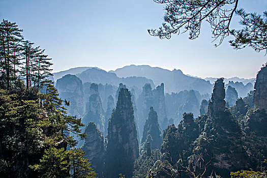 湖南张家界国家森林公园黄石寨群峰