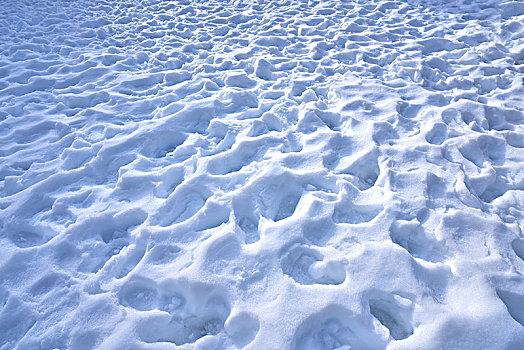 雪,脚印,纹理,比利牛斯山脉