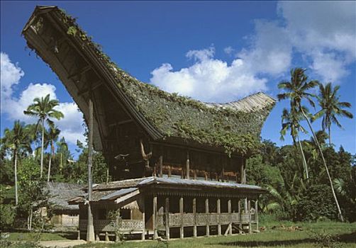印度尼西亚,苏拉威西岛,岛屿,风景,木屋