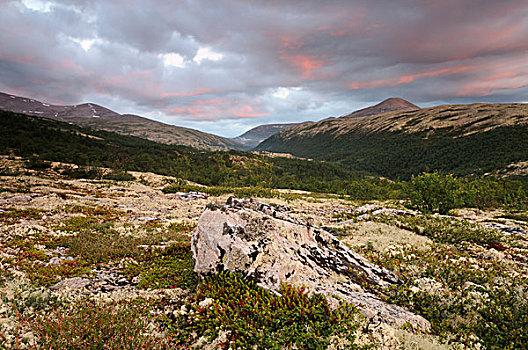 风景,靠近,国家,公园,挪威,斯堪的纳维亚,欧洲