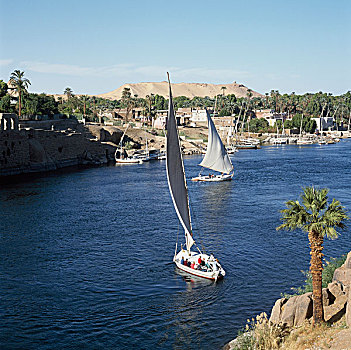 俯拍,三桅小帆船,河,尼罗河,阿斯旺,埃及