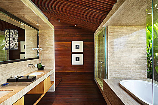 别墅,印度尼西亚,2009年,内景,浴室