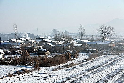 雪野,北方,东北,大雪,原野,土地,冬季,洁白,干净,风景,村庄,农村