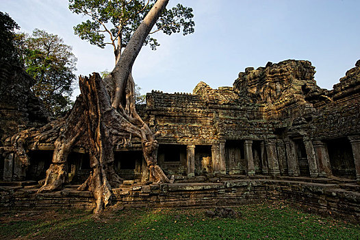 佛教寺庙,复杂,收获,省,柬埔寨,亚洲