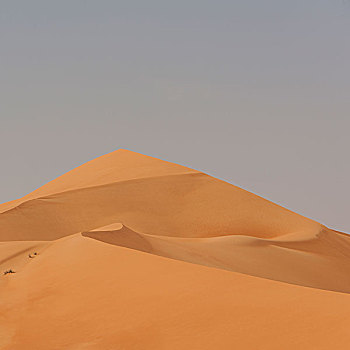 沙漠,风景
