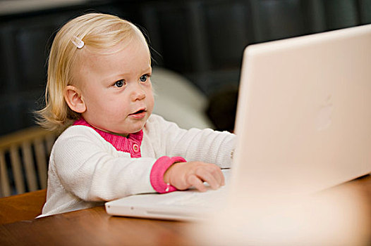 年轻,女孩,工作,笔记本电脑
