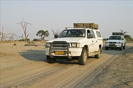 两个,四驱车,萨维提,区域,博茨瓦纳,非洲