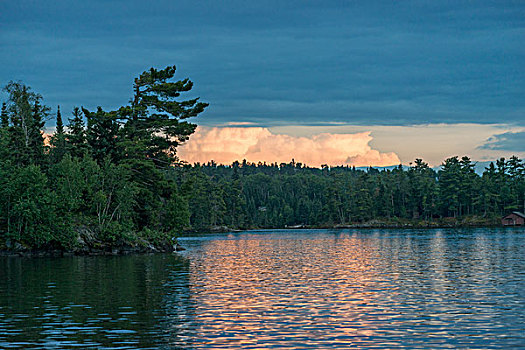 树,湖岸,黄昏,湖,木头,安大略省,加拿大