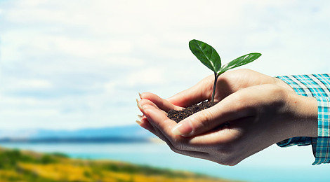 新生命图片_新生命图片大全_新生命图片素材