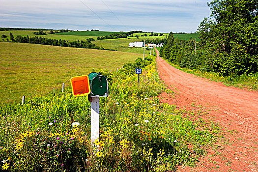 邮箱,农场,道路,爱德华王子岛,加拿大