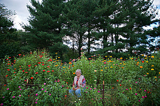 老年,女人,花园