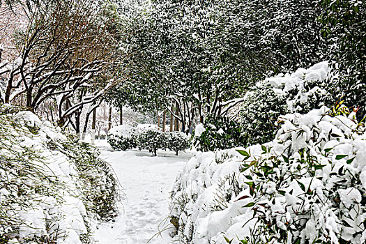 园林雪景