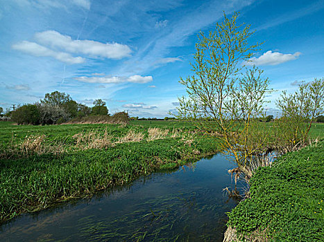 湿地,威尔特,英国