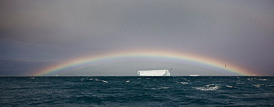 南极,南乔治亚,南大西洋,扁平,冰山,漂浮,低,彩虹
