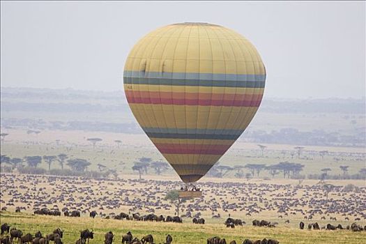 热气球,飞跃,角马,马赛马拉,三角形,肯尼亚