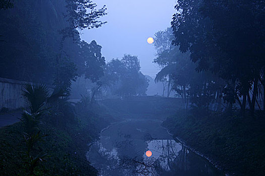孟加拉,日出,早,地区,2007年