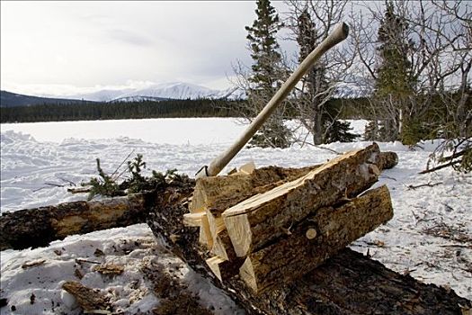 木柴,斧子,育空地区,加拿大,北美