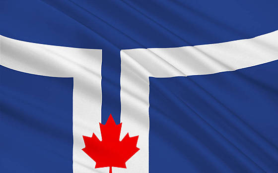 多伦多国旗图片图片