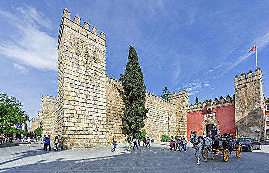 要塞,墙壁,入口,城堡,宫殿,塞维利亚,安达卢西亚,西班牙,欧洲