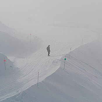 游客,滑雪板,惠斯勒,不列颠哥伦比亚省,加拿大