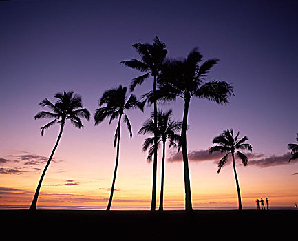 日落,檀香山,瓦胡岛,夏威夷