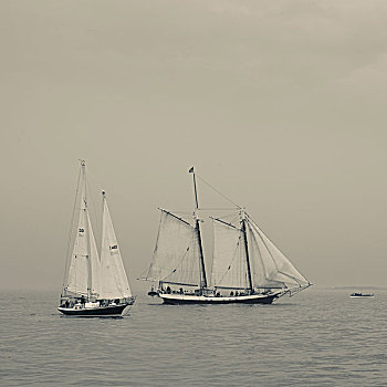 马萨诸塞,纵帆船,节日,港口,大幅,尺寸