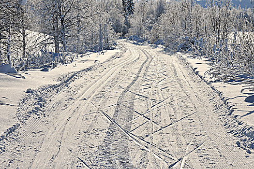 道路,库萨莫,北方,省,芬兰