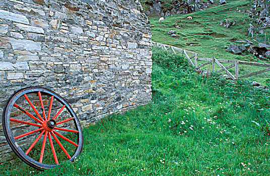 爱尔兰,乡村,马车车轮