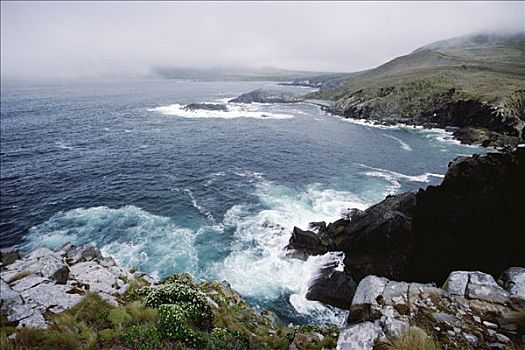 崎岖,雾,海岸,合恩角,巴塔哥尼亚,智利