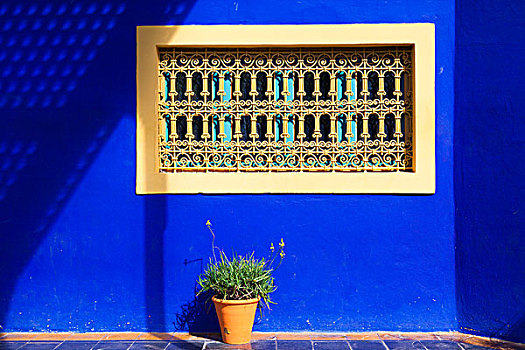特写,蓝色,建筑,马若雷尔花园,玛拉喀什,摩洛哥