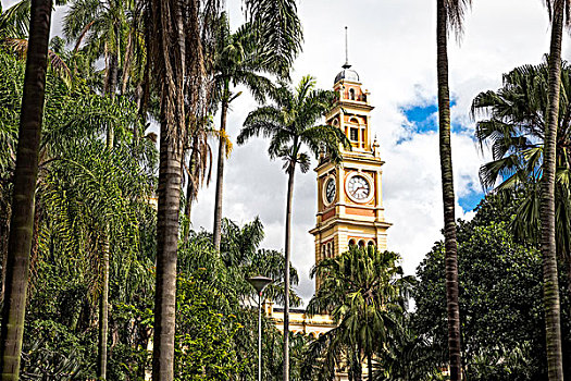 风景,火车站,钟楼,棕榈树,圣保罗,巴西