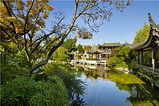 中式花园,水塘,秋天