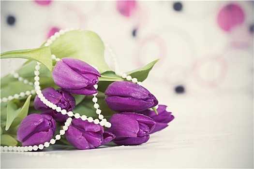 旧式,照片,紫色,郁金香,花