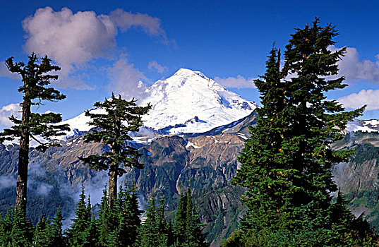 晨光,贝克山,贝克山-斯诺夸尔米国家森林公园,华盛顿