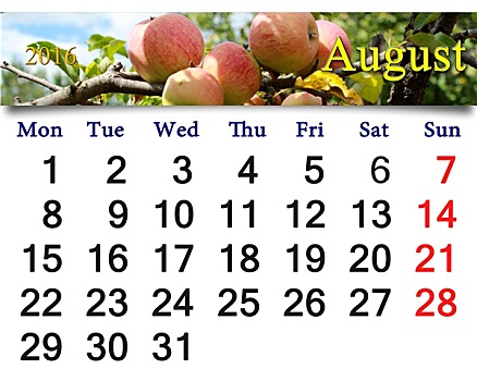 日程,八月,苹果