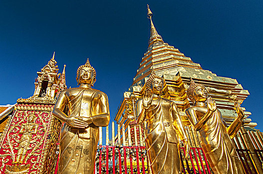 金色,佛像,塔,契迪,寺院,素贴,清迈,泰国