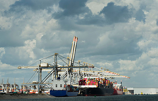 集装箱码头,局部,鹿特丹,港口,荷兰