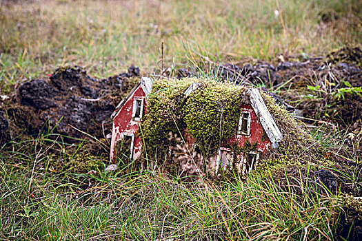 老,苔藓,繁茂,模型,草皮,房子,后院,冰岛