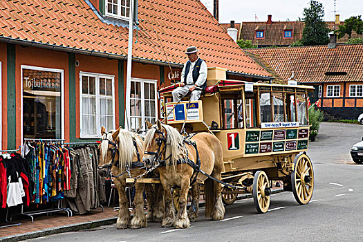 马车,丹麦,欧洲